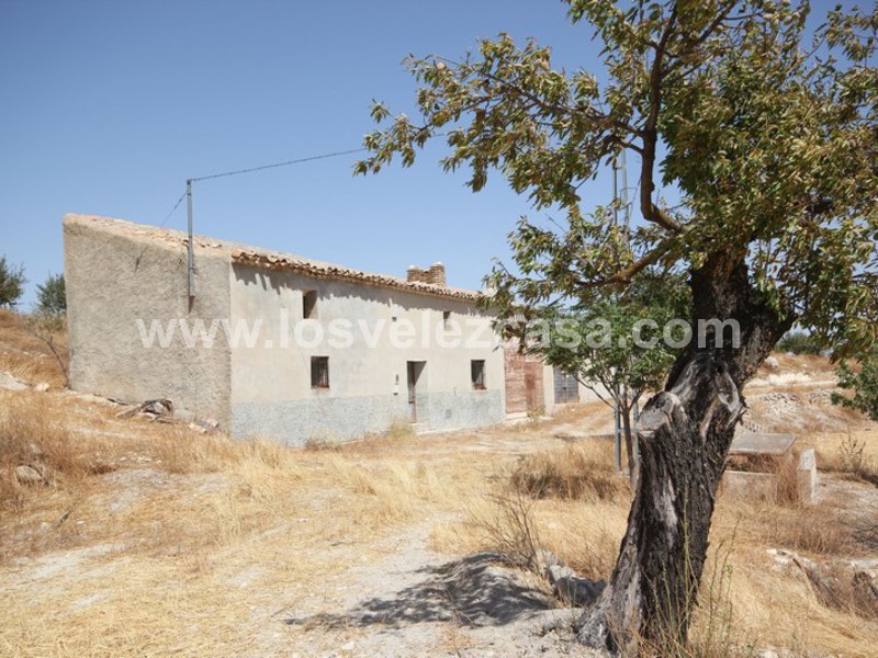 LVC410: Granja Pequeña en venta en Maria, Almería