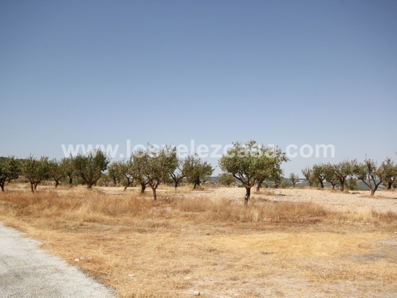 LVC410: Granja Pequeña en venta en Maria, Almería