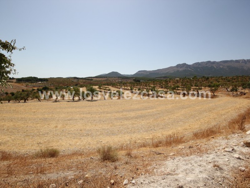 LVC410: Granja Pequeña en venta en Maria, Almería