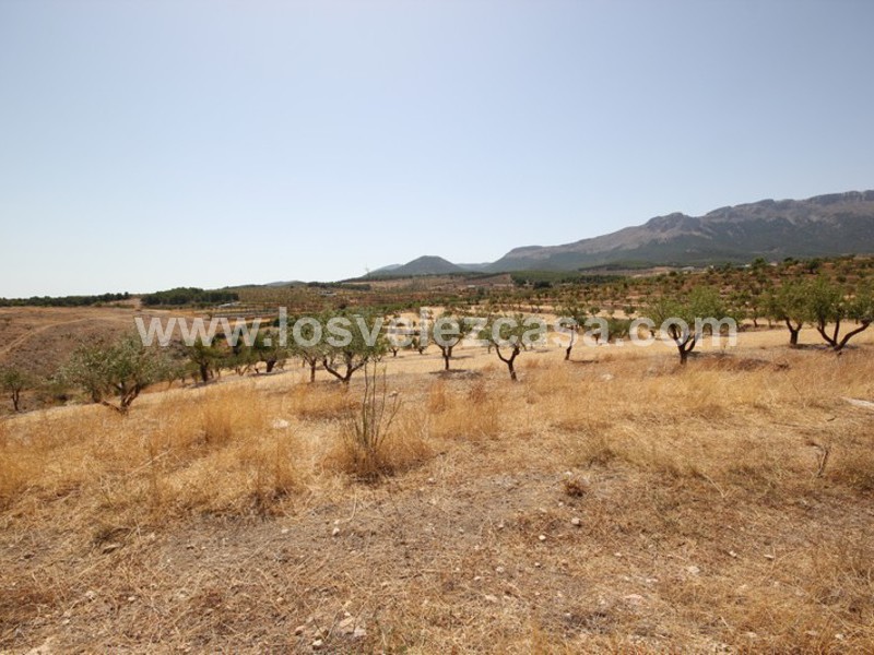 LVC410: Granja Pequeña en venta en Maria, Almería