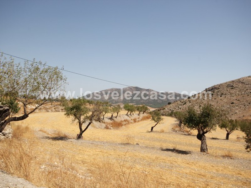 LVC410: Granja Pequeña en venta en Maria, Almería