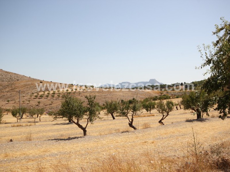 LVC410: Granja Pequeña en venta en Maria, Almería