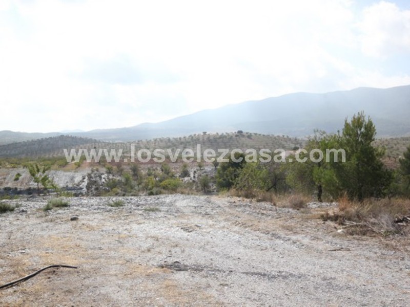 LVC422: Small Holding for sale in Velez Rubio, Almería