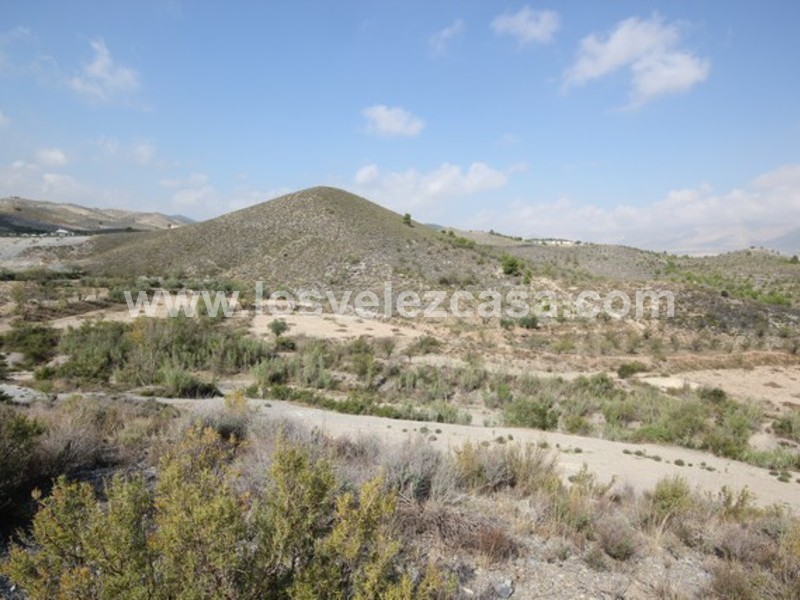 LVC422: Small Holding for sale in Velez Rubio, Almería