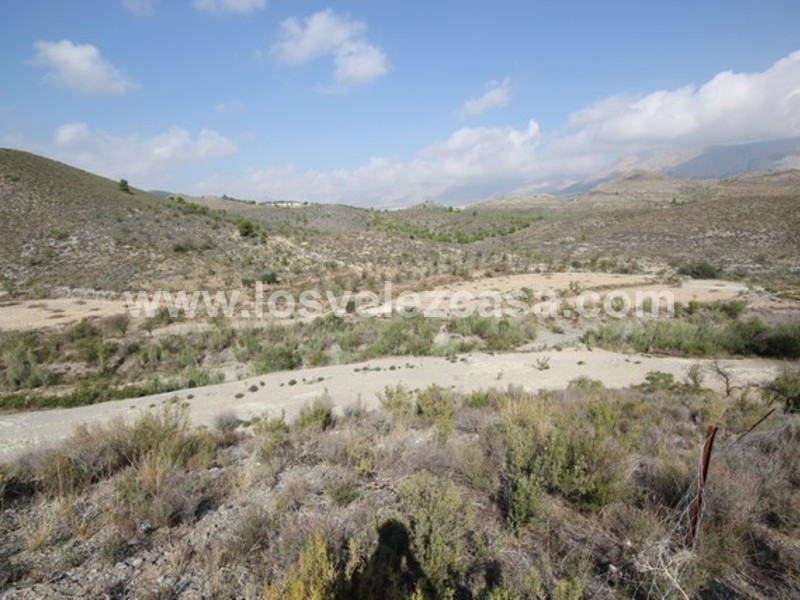 LVC422: Small Holding for sale in Velez Rubio, Almería