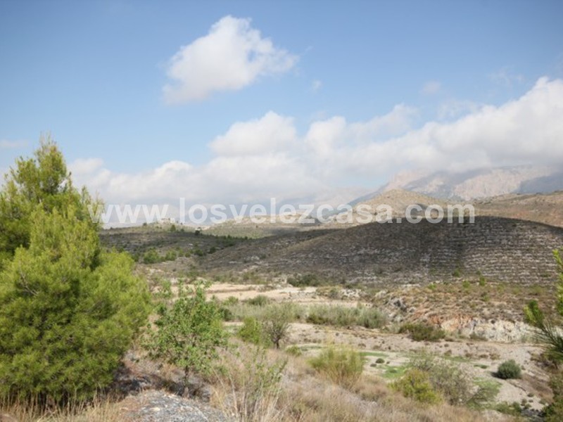 LVC422: Small Holding for sale in Velez Rubio, Almería