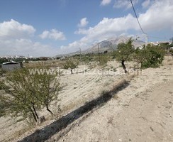 LVC423: Terreno en Velez Rubio, Almería