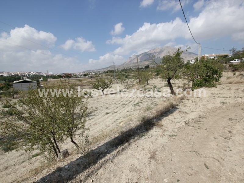 LVC423: Land for sale in Velez Rubio, Almería