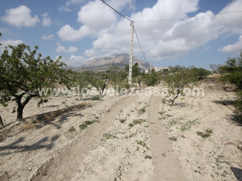 LVC423: Land for sale in Velez Rubio, Almería