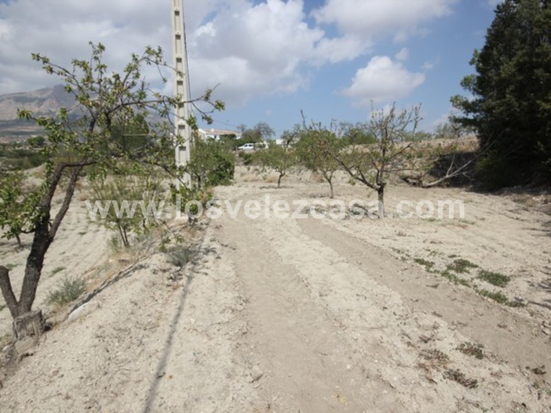 LVC423: Land for sale in Velez Rubio, Almería