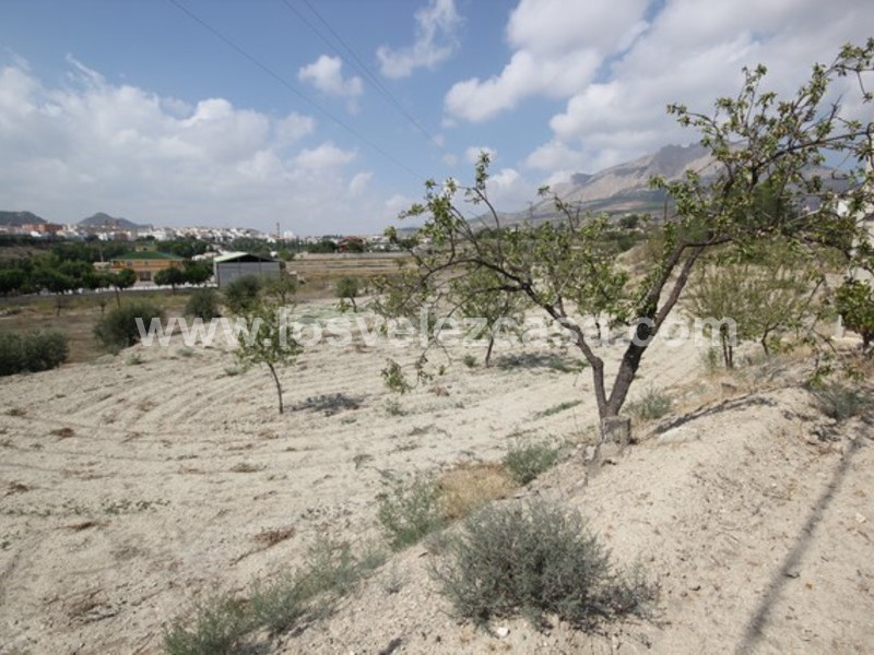 LVC423: Land for sale in Velez Rubio, Almería