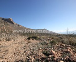 LVC429: Land in Velez Blanco, Almería