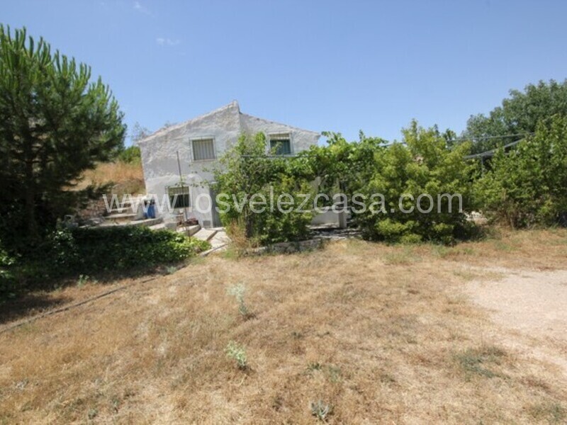 LVC461: Detached Character House for sale in Velez Blanco, Almería