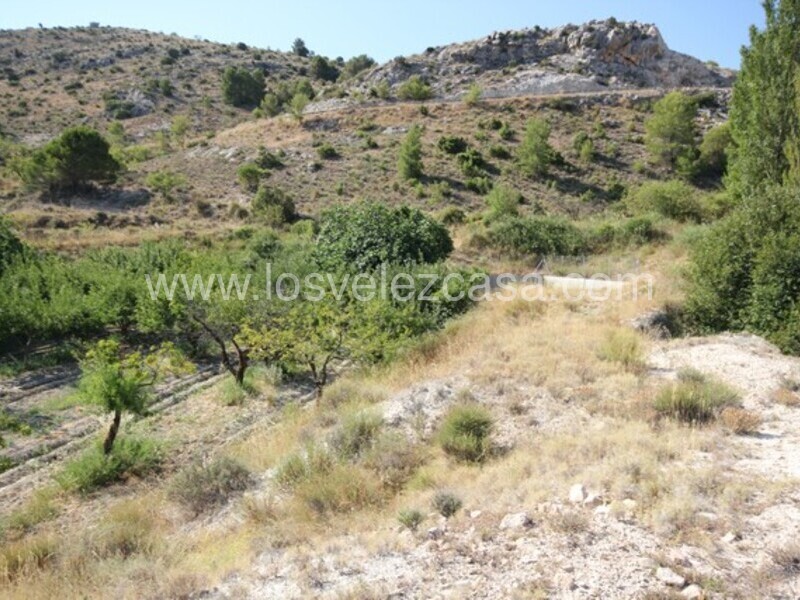 LVC461: Detached Character House for sale in Velez Blanco, Almería