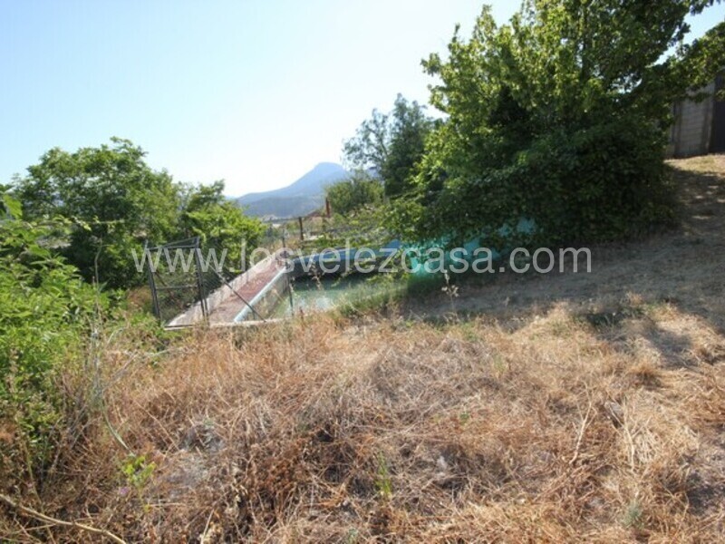 LVC461: Detached Character House for sale in Velez Blanco, Almería
