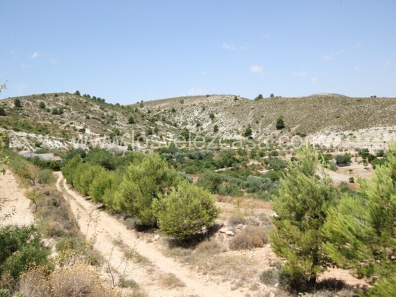 LVC461: Detached Character House for sale in Velez Blanco, Almería