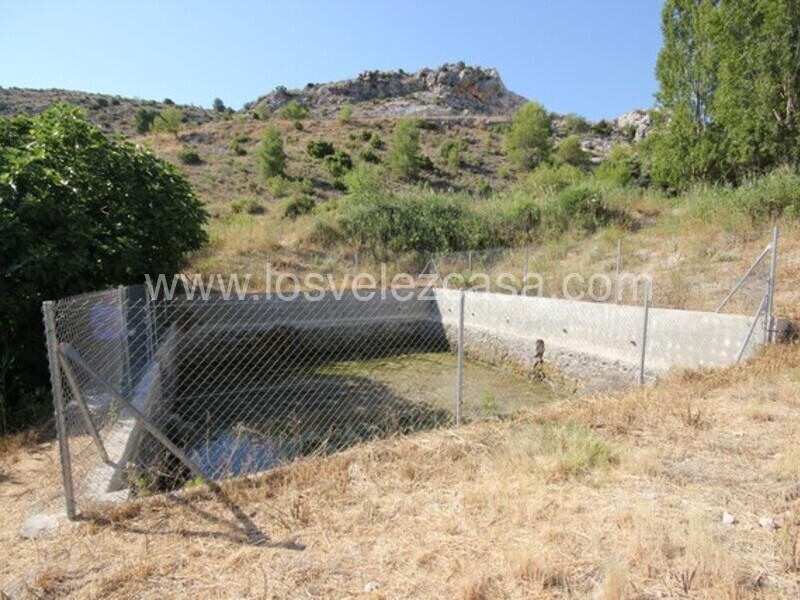 LVC461: Detached Character House for sale in Velez Blanco, Almería
