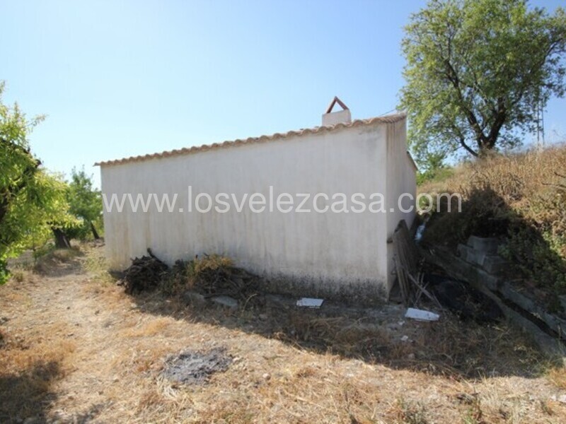 LVC462: Land for sale in Velez Blanco, Almería