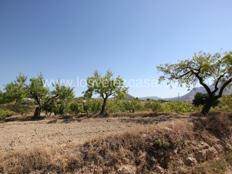 LVC462: Land for sale in Velez Blanco, Almería