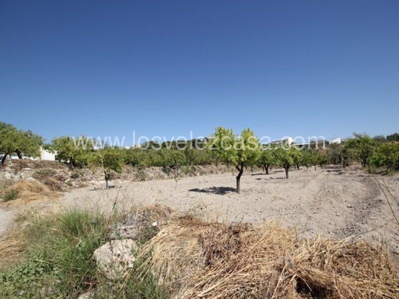 LVC462: Land for sale in Velez Blanco, Almería