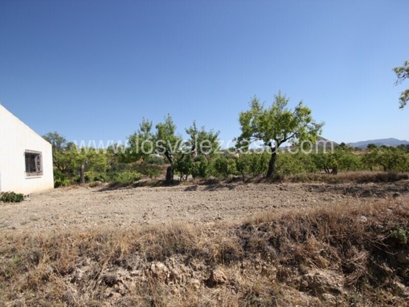 LVC462: Land for sale in Velez Blanco, Almería