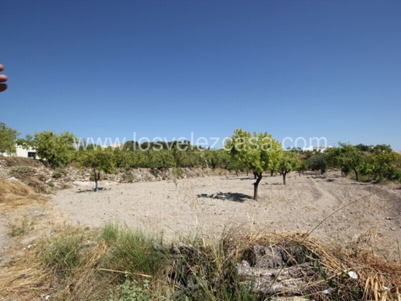 LVC462: Land for sale in Velez Blanco, Almería