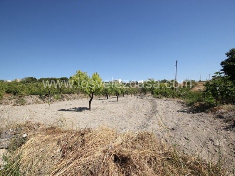 LVC462: Land for sale in Velez Blanco, Almería