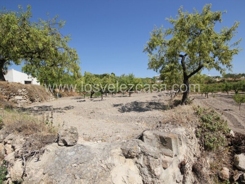 LVC462: Terreno en venta en Velez Blanco, Almería