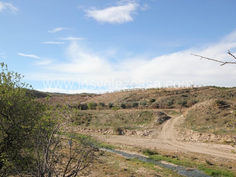 LVC475: Terreno en venta en Umbria, Murcia