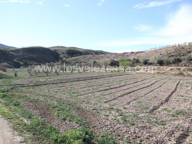 LVC475: Terreno en venta en Umbria, Murcia