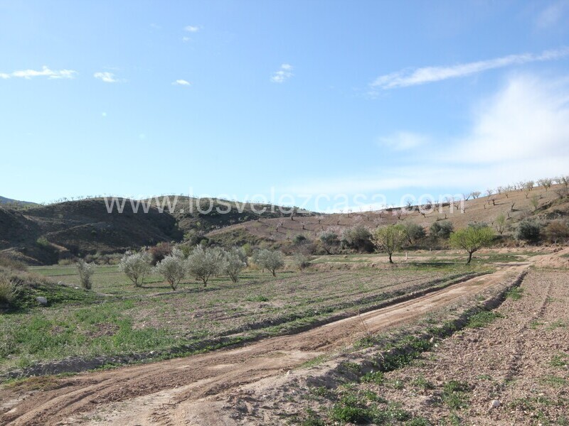 LVC475: Terreno en venta en Umbria, Murcia