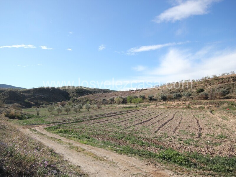 LVC475: Terreno en venta en Umbria, Murcia