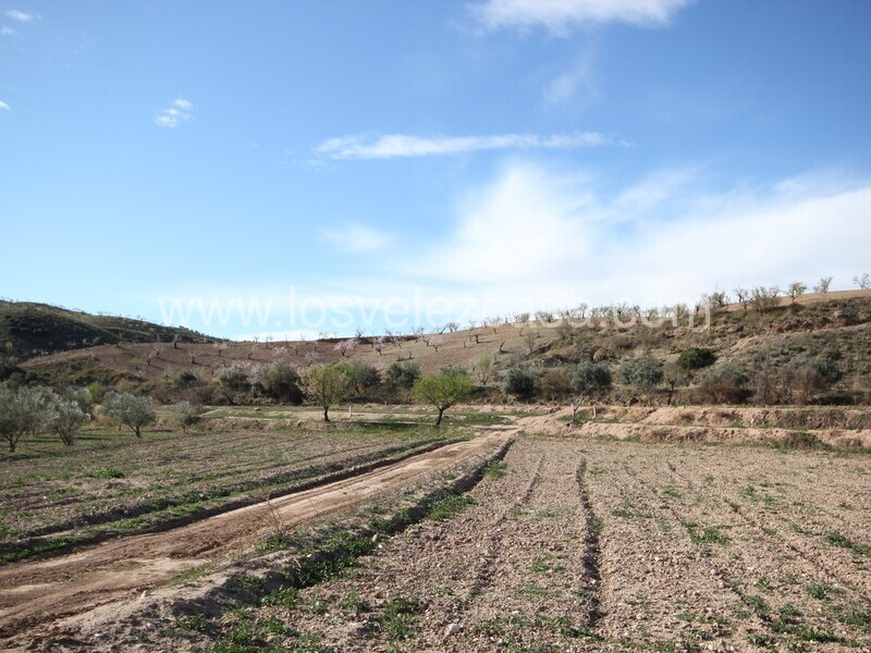 LVC475: Terreno en venta en Umbria, Murcia