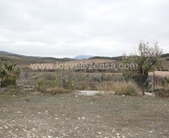 LVC475: Land in Umbria, Murcia
