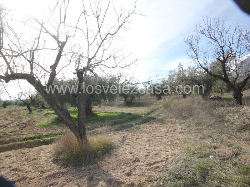 LVC477: Cortijo en venta en Velez Blanco, Almería