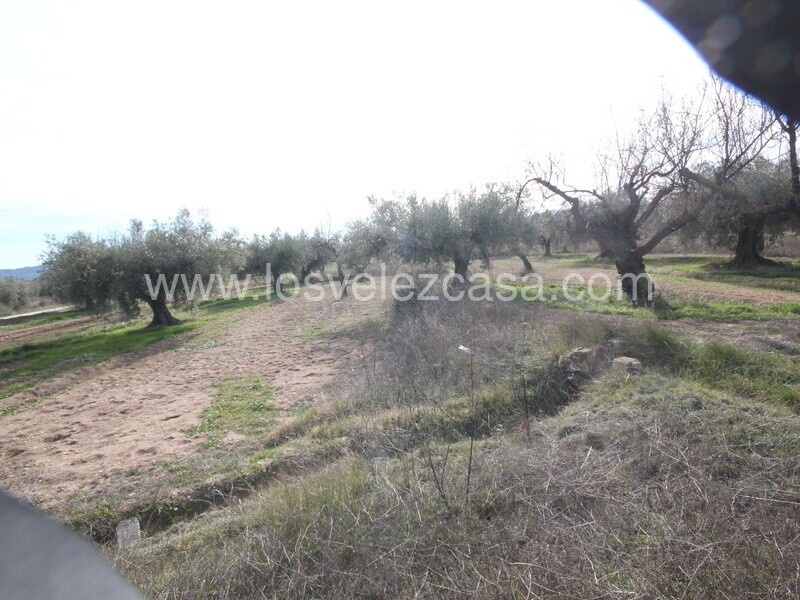 LVC477: Cortijo en venta en Velez Blanco, Almería