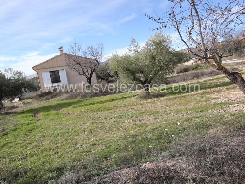 LVC477: Cortijo en venta en Velez Blanco, Almería