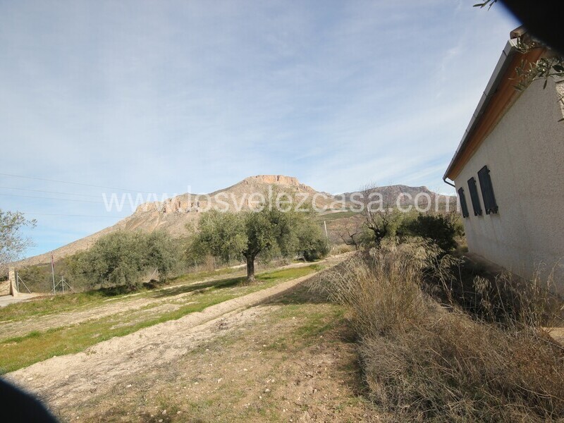 LVC477: Cortijo en venta en Velez Blanco, Almería