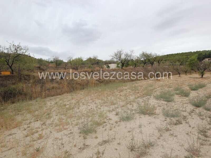 LVC485: Country Property to Reform for sale in Velez Rubio, Almería