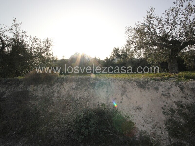 LVC492: Land for sale in Velez Blanco, Almería