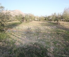 LVC492: Terreno en Velez Blanco, Almería