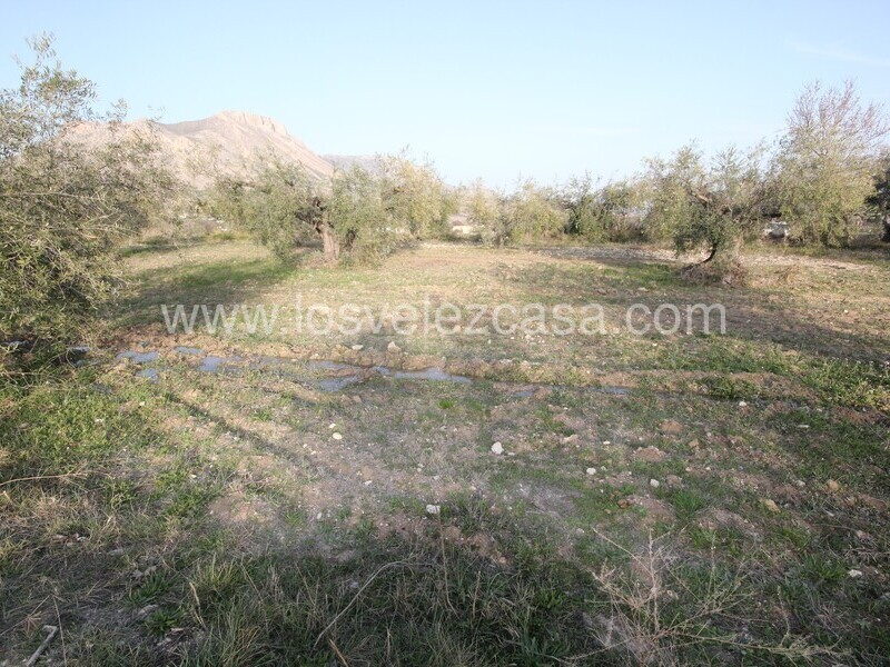 LVC492: Land for sale in Velez Blanco, Almería