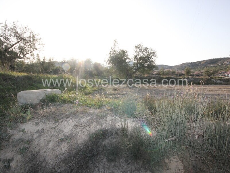 LVC492: Land for sale in Velez Blanco, Almería