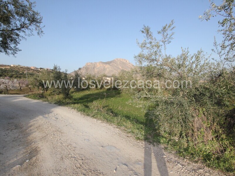 LVC492: Land for sale in Velez Blanco, Almería