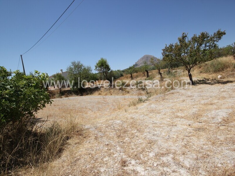LVC498: Land for sale in Velez Blanco, Almería