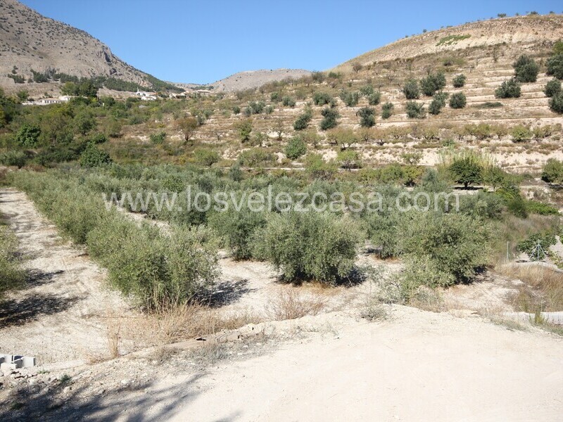 LVC507: Land for sale in Velez Blanco, Almería