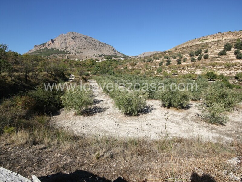 LVC507: Land for sale in Velez Blanco, Almería