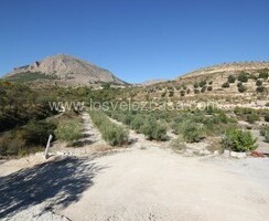 LVC507: Land in Velez Blanco, Almería