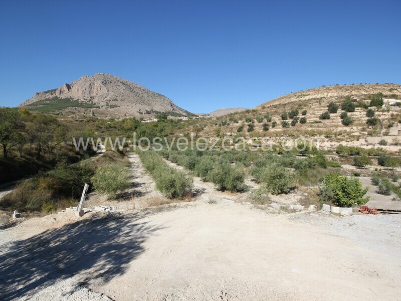 LVC507: Land for sale in Velez Blanco, Almería
