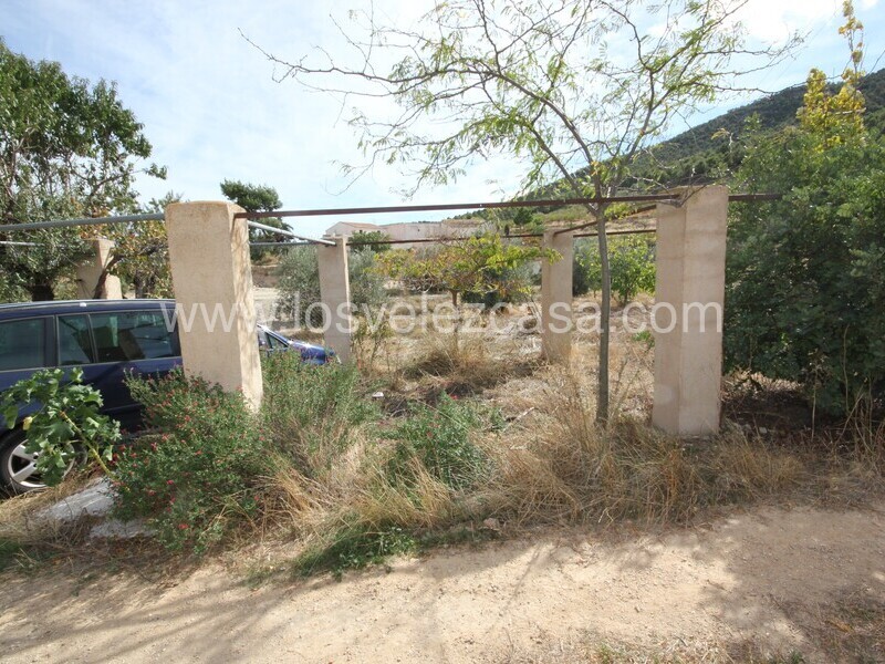 LVC508: Adosada en venta en Velez Rubio, Almería